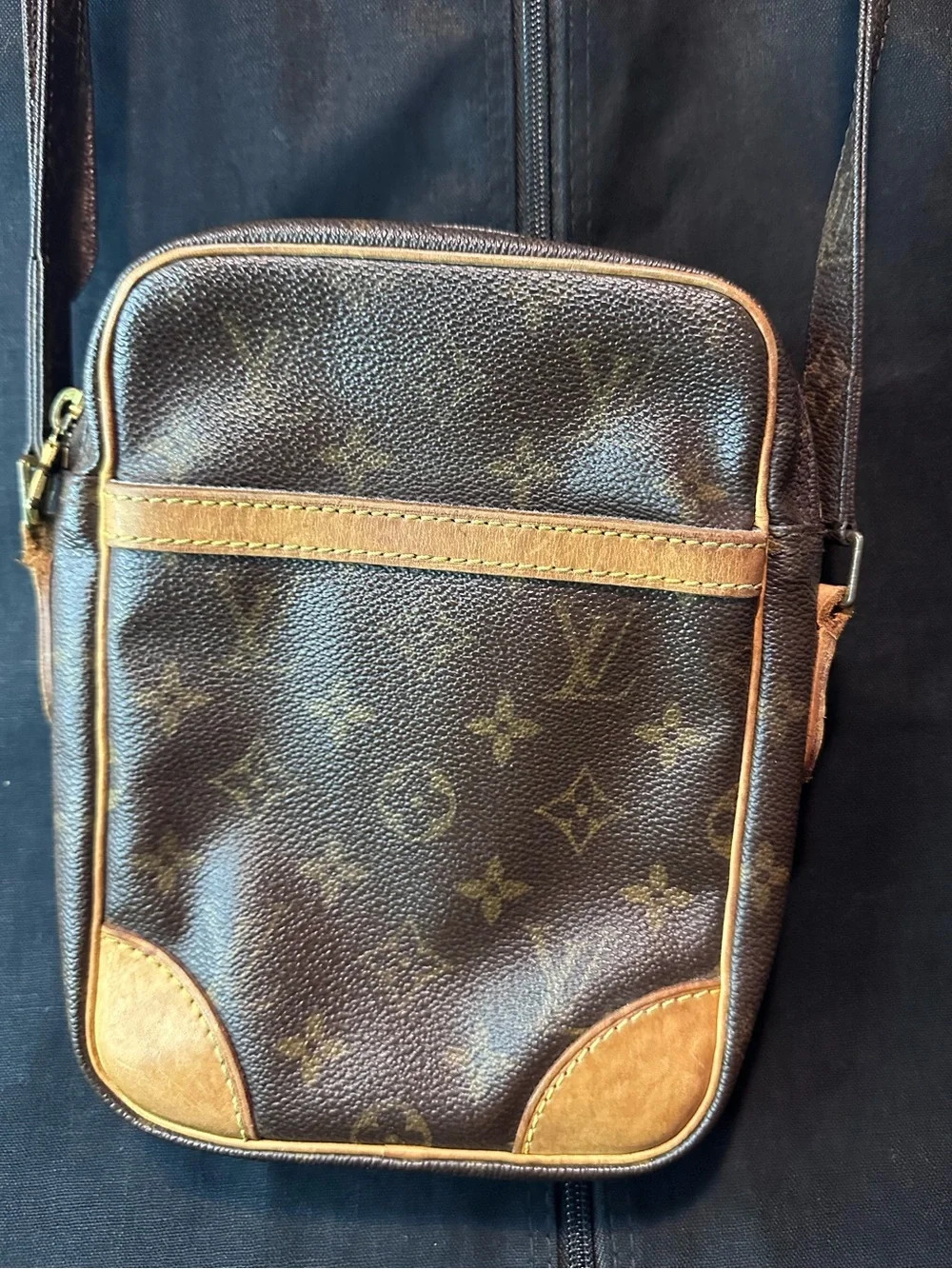 Louis Vuitton Monogram Danube crossbody